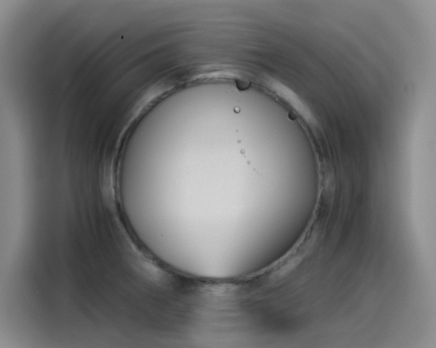 X0000114191282200910161156