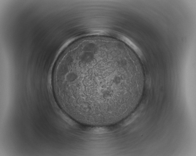 X0000114191283200910161156