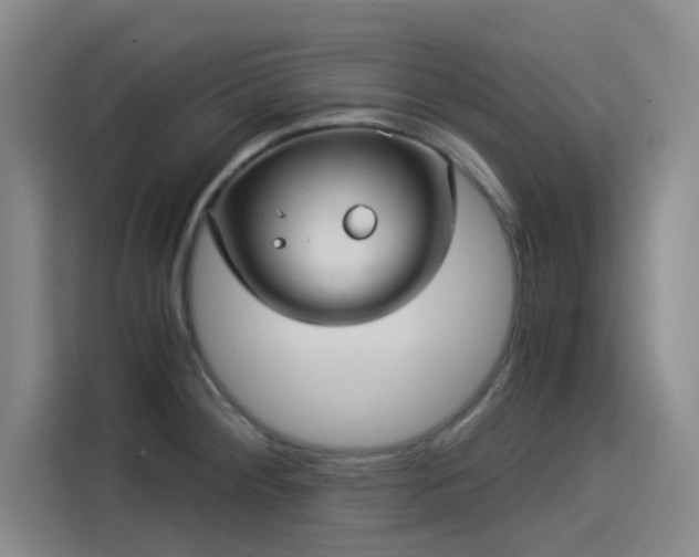 X0000114191284200910161156