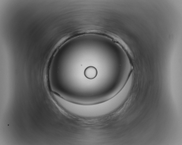 X0000114191285200910161156
