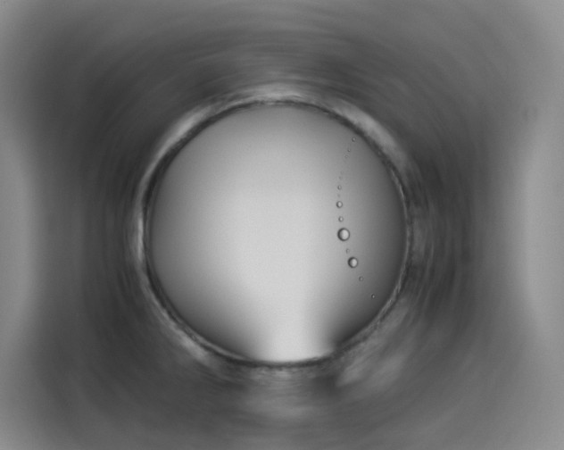 X0000114191286200910161156