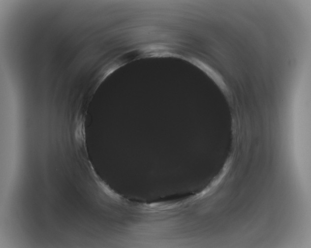 X0000114191289200910161156