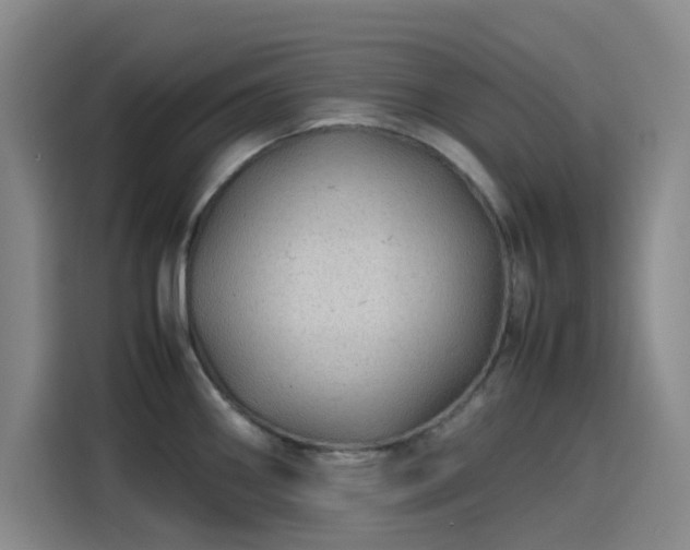 X0000114191290200910161156