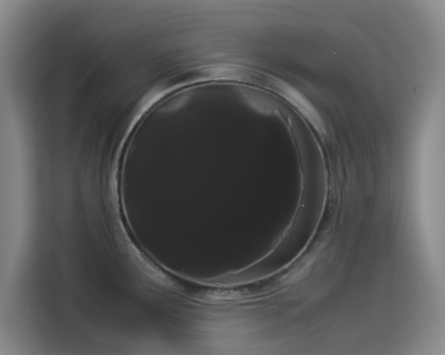 X0000114191291200910161156