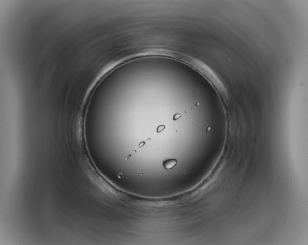 X0000114191292200910161156