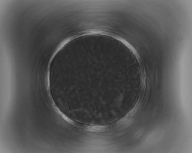 X0000114191294200910161156