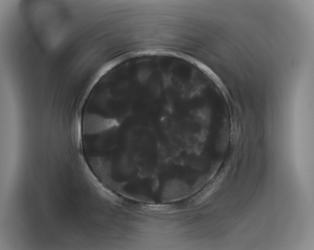 X0000114191295200910161156
