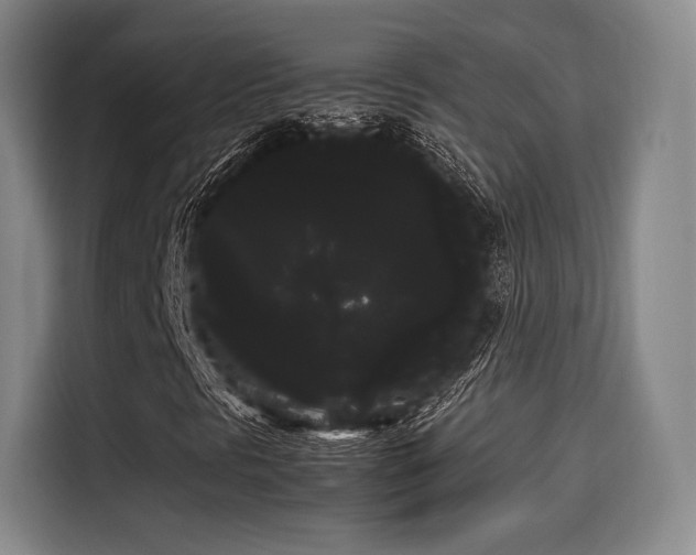 X0000114191297200910161156