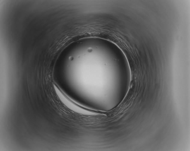 X0000114191298200910161156