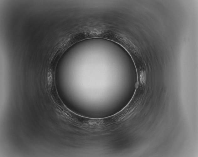 X0000114191299200910161156