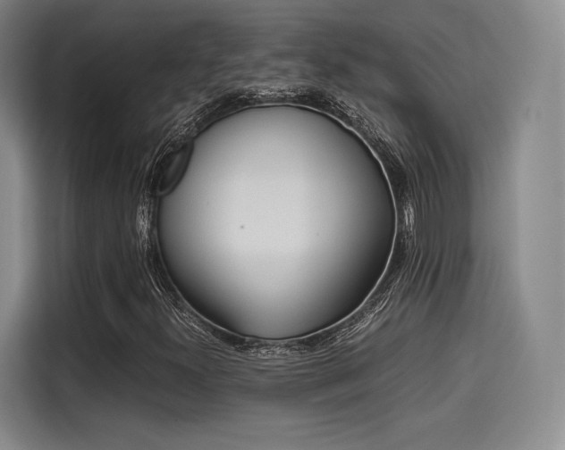 X0000114191300200910161156