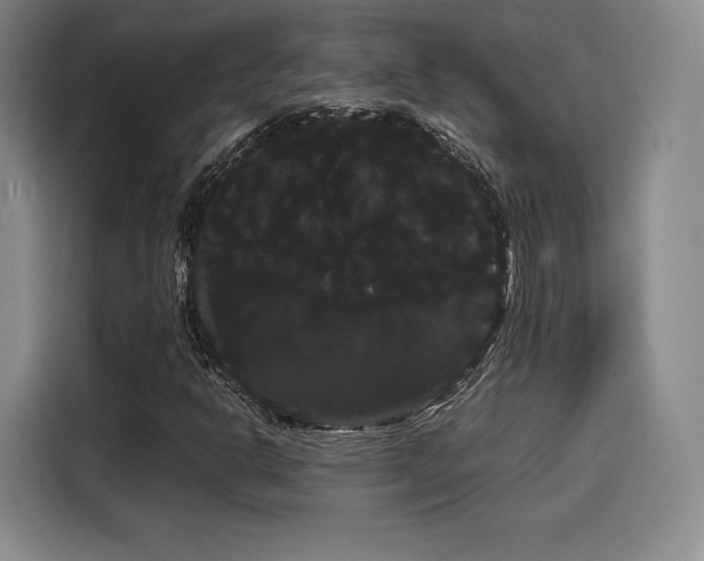 X0000114191302200910161156