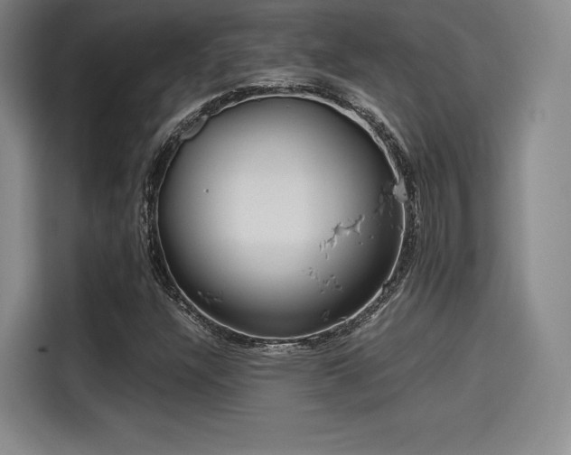 X0000114191304200910161156