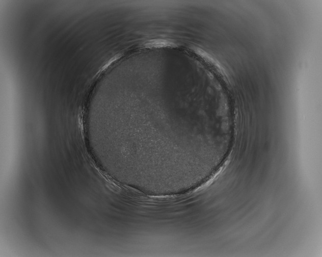 X0000114191305200910161156
