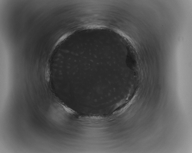 X0000114191306200910161156