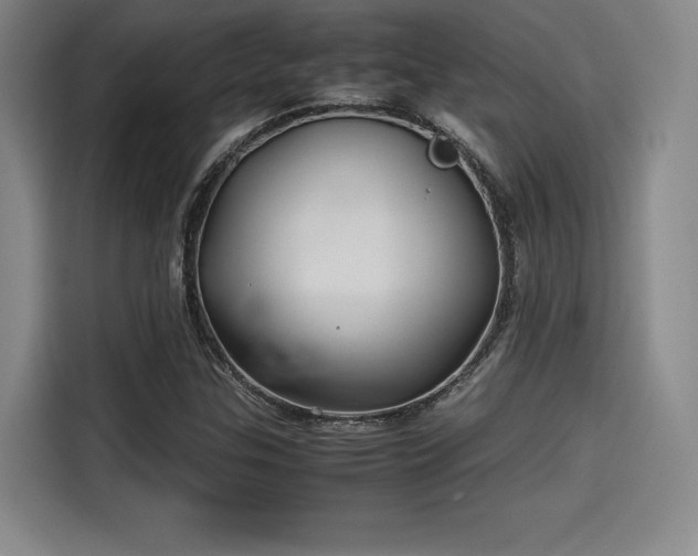 X0000114191307200910161156