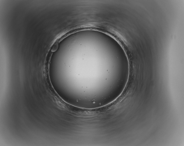 X0000114191308200910161156