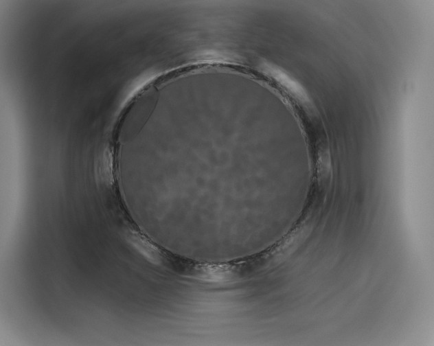 X0000114191310200910161156