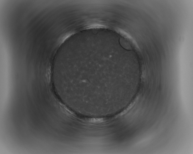 X0000114191313200910161156