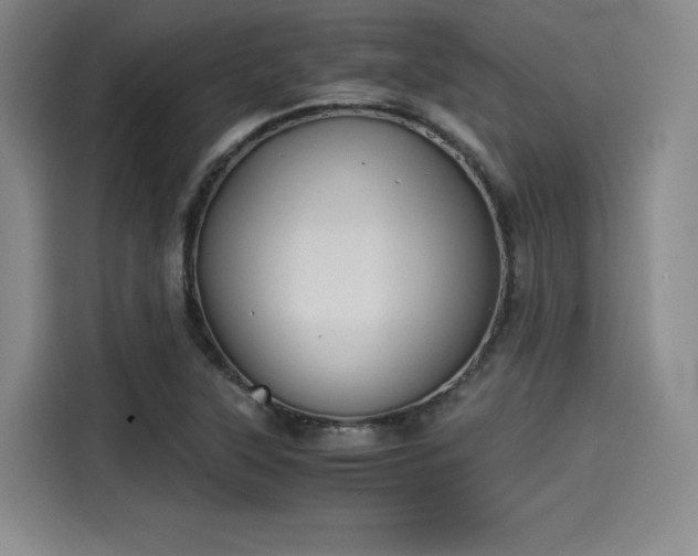 X0000114191315200910161156
