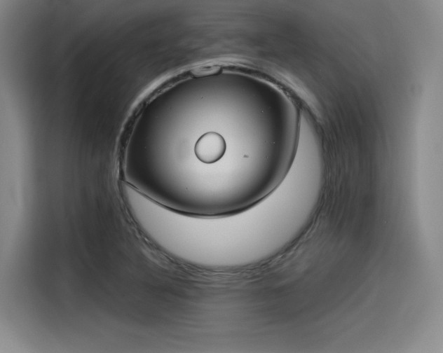 X0000114191316200910161156