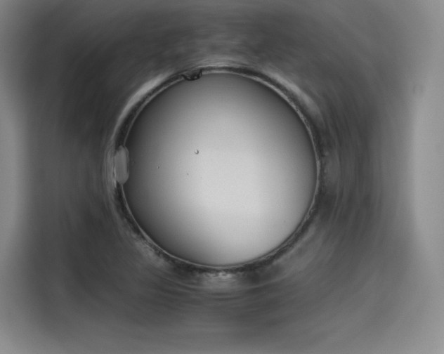 X0000114191317200910161156