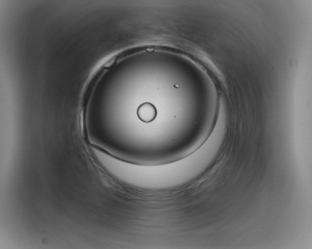 X0000114191320200910161156