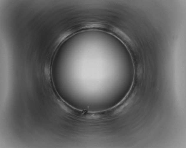 X0000114191321200910161156