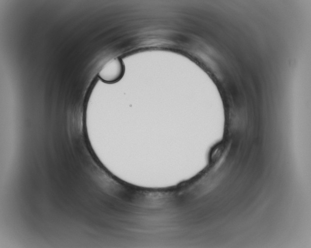 X0000114191322200910161156