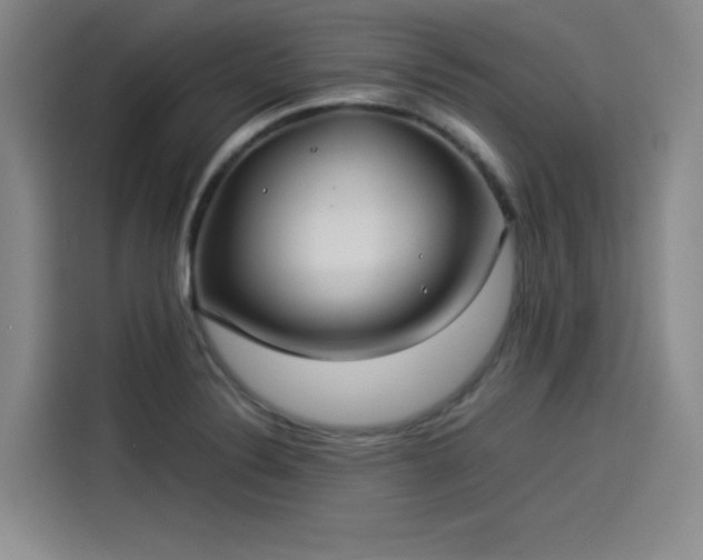 X0000114191324200910161156