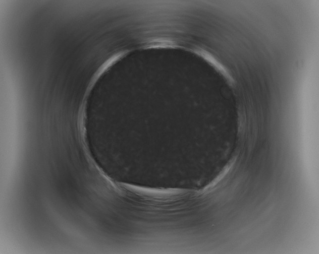 X0000114191325200910161156