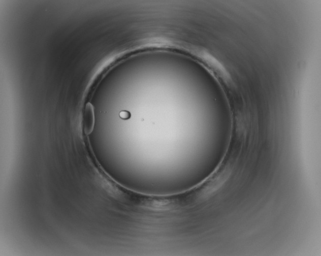 X0000114191326200910161156