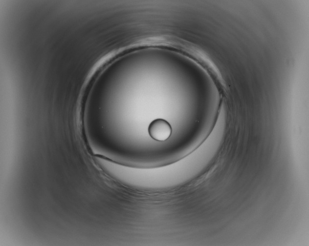 X0000114191328200910161156