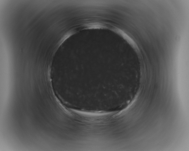 X0000114191329200910161156