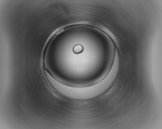 X0000114191332200910161156