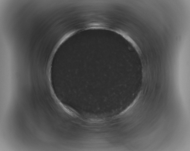 X0000114191333200910161156