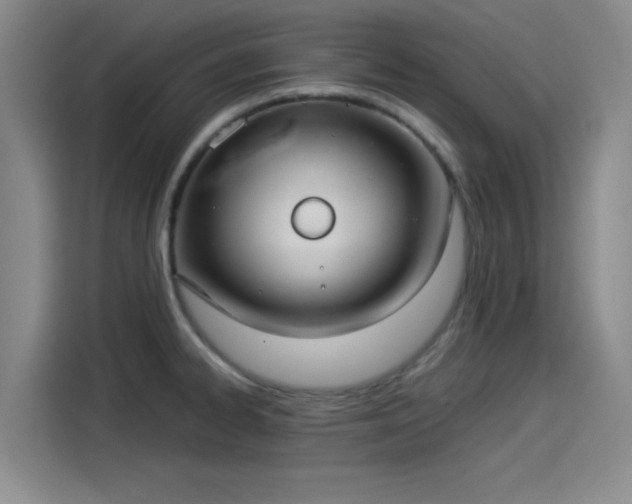 X0000114191334200910161156