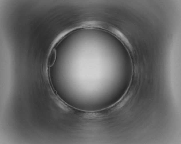 X0000114191336200910161156