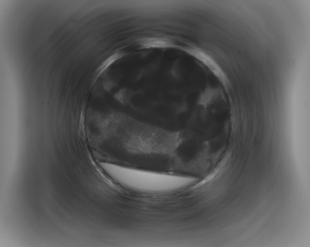 X0000114191337200910161156