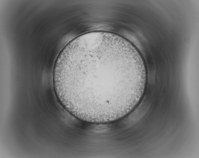 X0000114191338200910161156