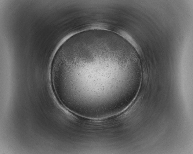 X0000114191339200910161156