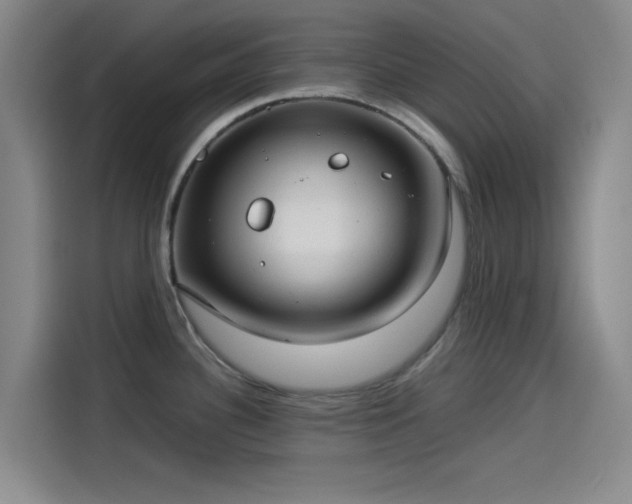 X0000114191340200910161156