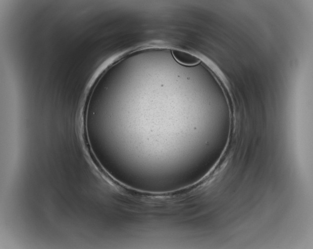 X0000114191341200910161156
