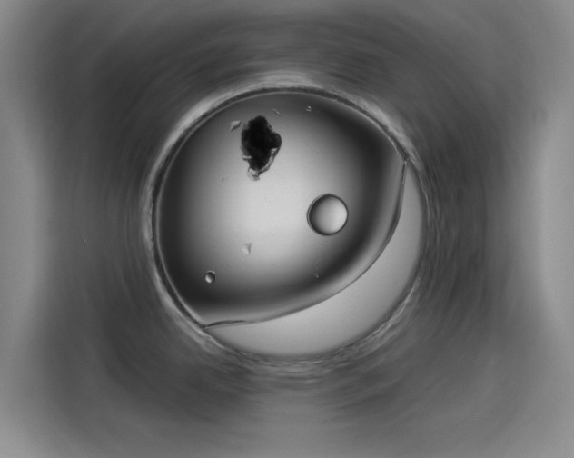 X0000114191342200910161156