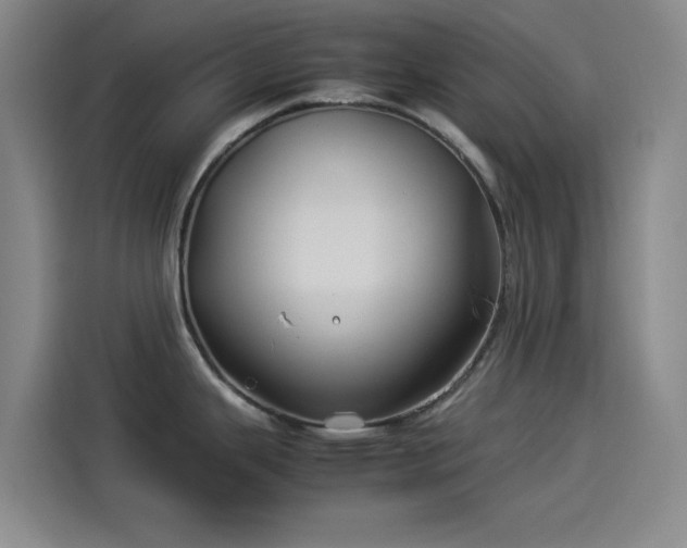 X0000114191343200910161156