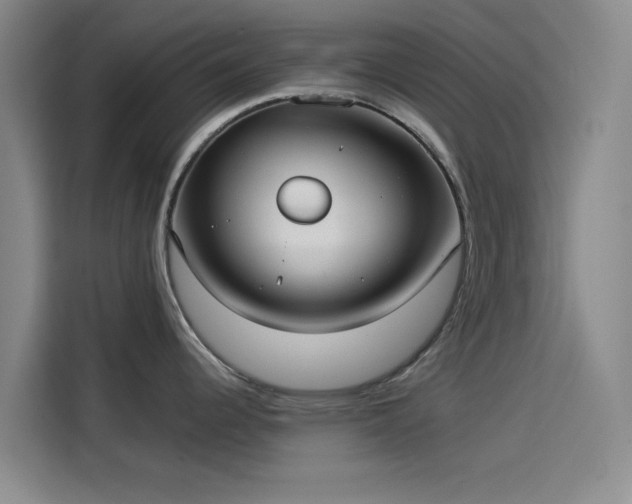 X0000114191344200910161156