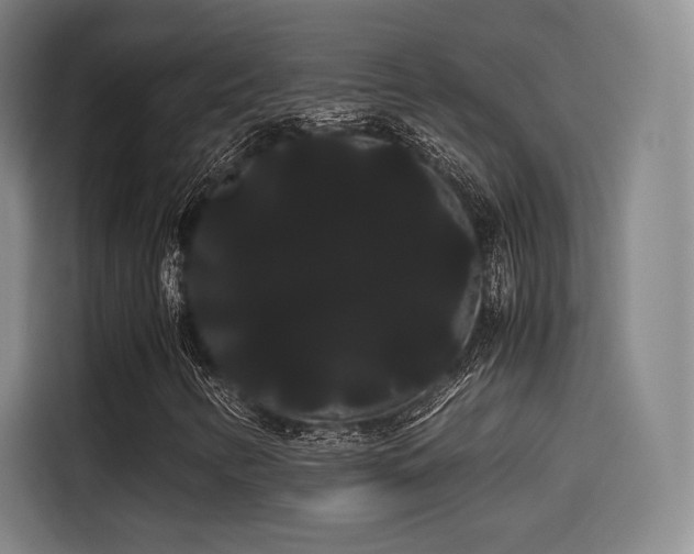 X0000114191346200910161156
