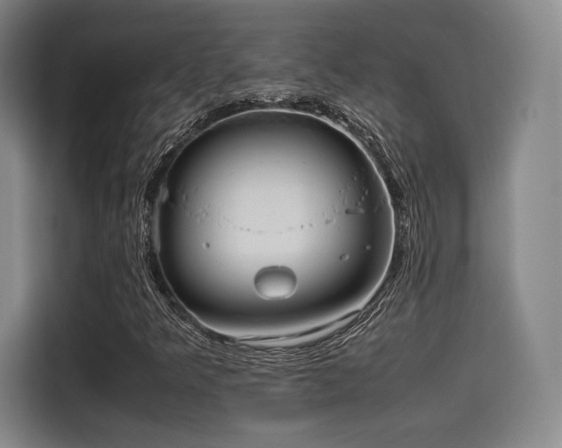 X0000114191349200910161156