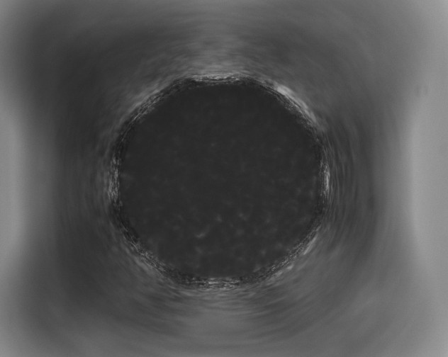 X0000114191350200910161156