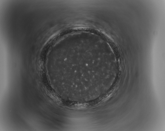 X0000114191351200910161156